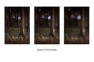 aloneinthewoods